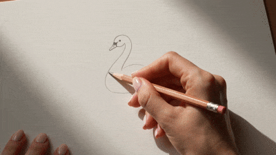 How To Draw an Easy Swan preview video