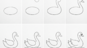 How To Draw an Easy Swan