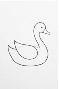 Step 5: Include the Tail and Wing