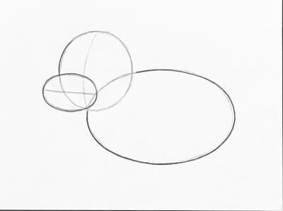 Step 1: Basic Body and Head Shapes