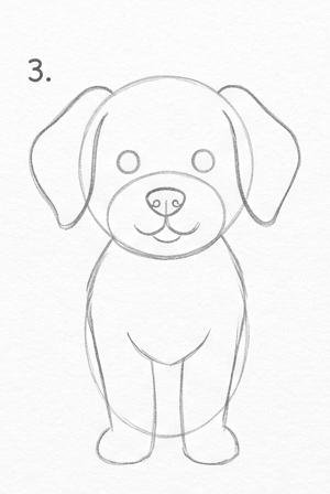 Step 3: Refine the Face