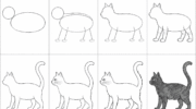 how-to-draw-a-black-cat