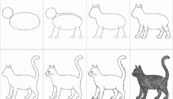 how-to-draw-a-black-cat