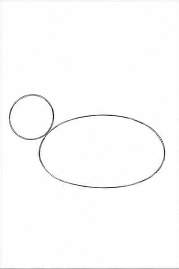 Step 1: Basic Body Shapes