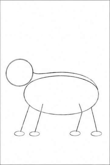 Step 2: Spine and Leg Guides