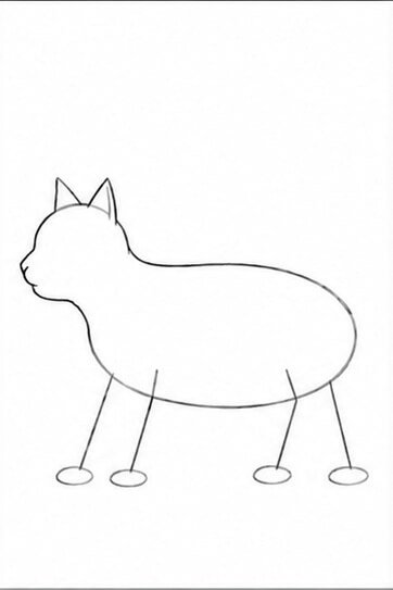 Step 3: Head and Ears