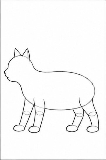 Step 4: Simple Legs and Paws