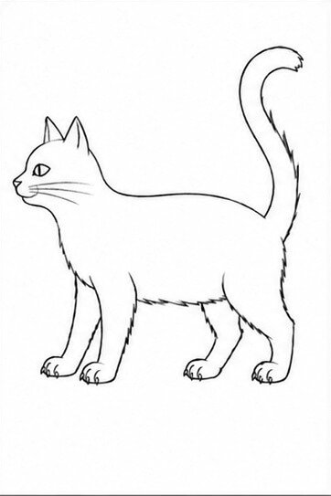 Step 7: Clean Fur Lines