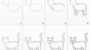 how to draw a cat easy: Step-by-Step Tutorial