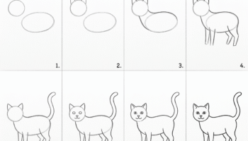 how to draw a cat easy: Step-by-Step Tutorial