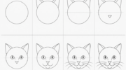 How To Draw a Cat Face: Step-by-Step Tutorial