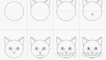 How To Draw a Cat Face: Step-by-Step Tutorial