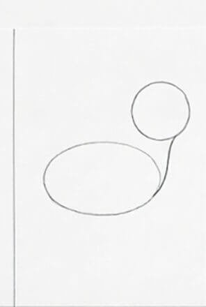 Step 2: Add the Head Circle