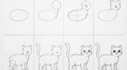 How To Draw a cut Cat: Step-by-Step Tutorial