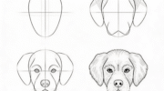 How to Draw a Dog Face 🐶: Step-by-Step Tutorial