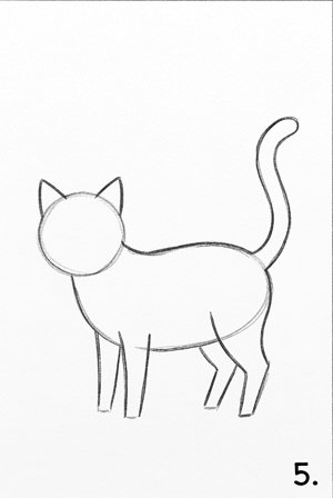 Step 5: Tail Shape