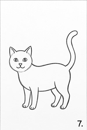 Step 7: Refine the Form