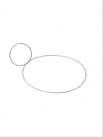 Step 1: Basic Body Shapes