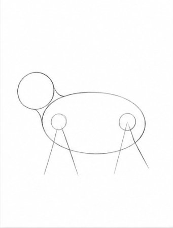 Step 2: Connecting Lines