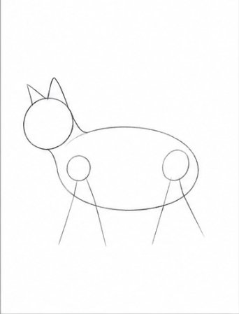 Step 3: Ears and Joints