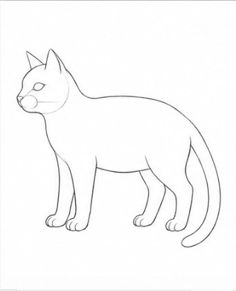Step 6: Facial Guidelines