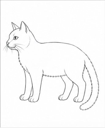 Step 7: Details and Fur