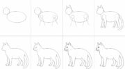 how-to-draw-a-realistic-cat