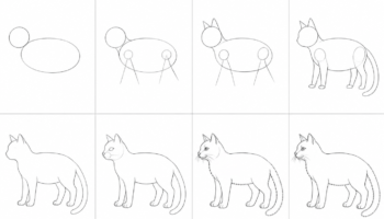 how-to-draw-a-realistic-cat