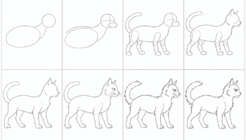 how-to-draw-a-warrior-cat