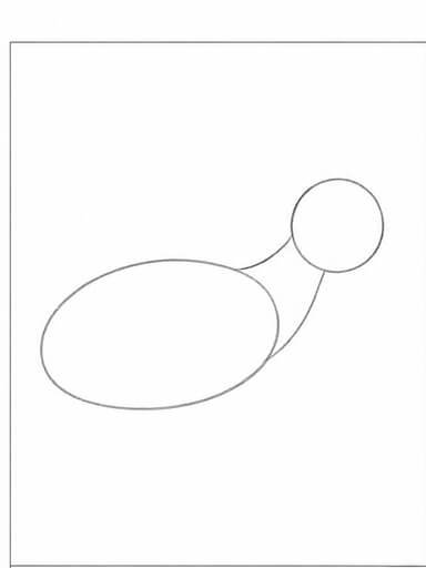 Step 1: Basic Body Shapes