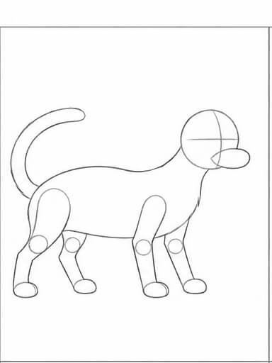 Step 3: Build the Legs and Tail
