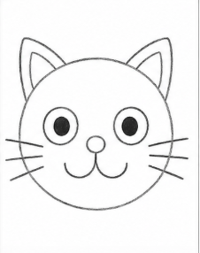 Step 7: Pupillary Details