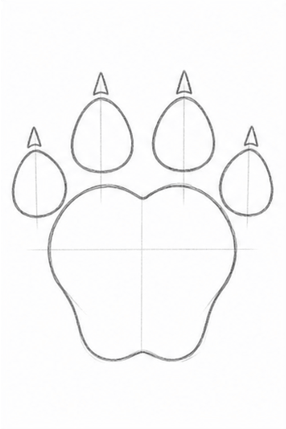 Step 6: Sketching the Claws