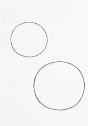 Step 1: Draw Basic Shapes