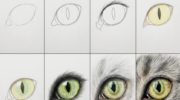 How To Draw a Cat Eye