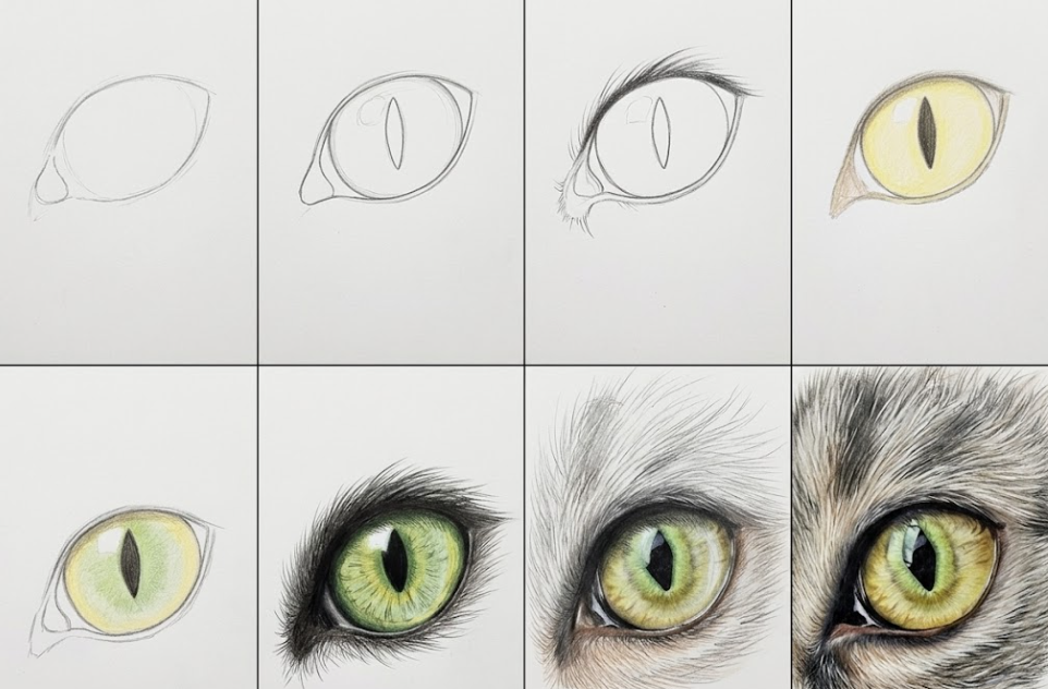 How To Draw a Cat Eye