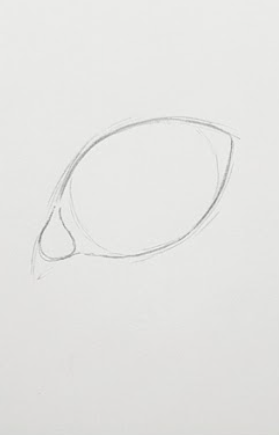 Step 1: Draw the Basic Shape