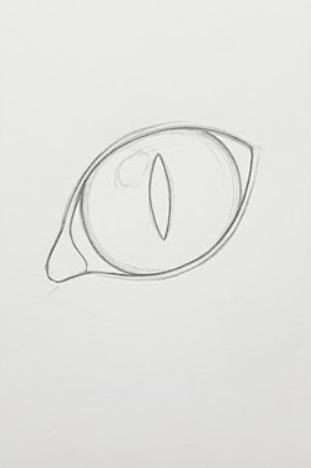 Step 2: Shape the Eye