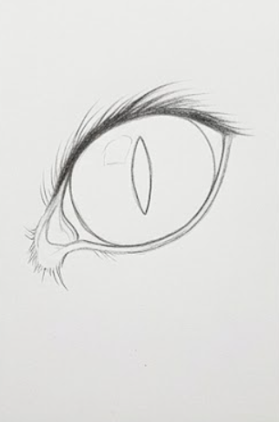 Step 3: Add the Pupil