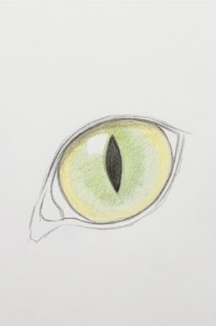 Step 5: Refine the Eyelids