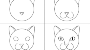 How To Draw a Cat Head