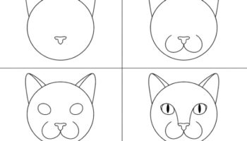 How To Draw a Cat Head