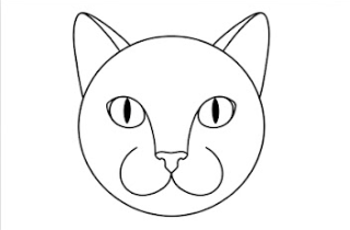 Step 6: Pupil Details