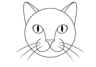 Step 7: Whiskers