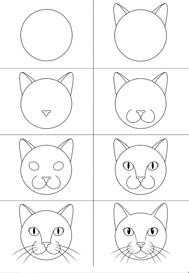 How To Draw a Cat Head