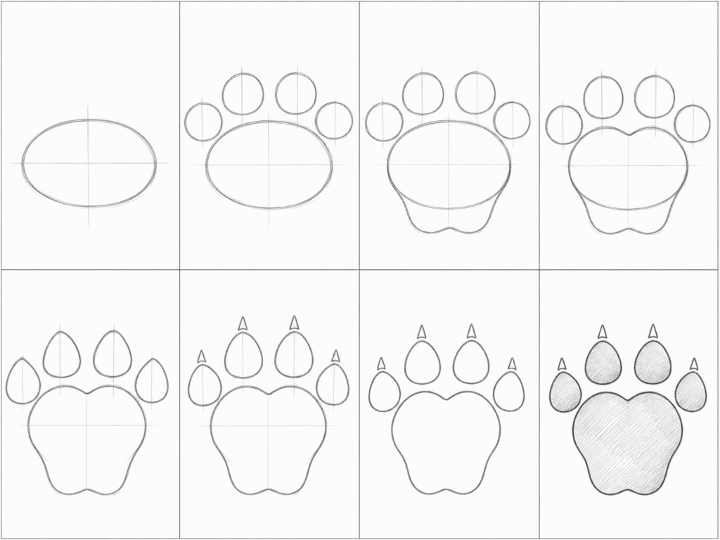 How to draw a cat paw