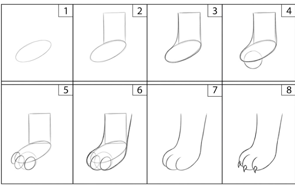 How To Draw a Cat Paw