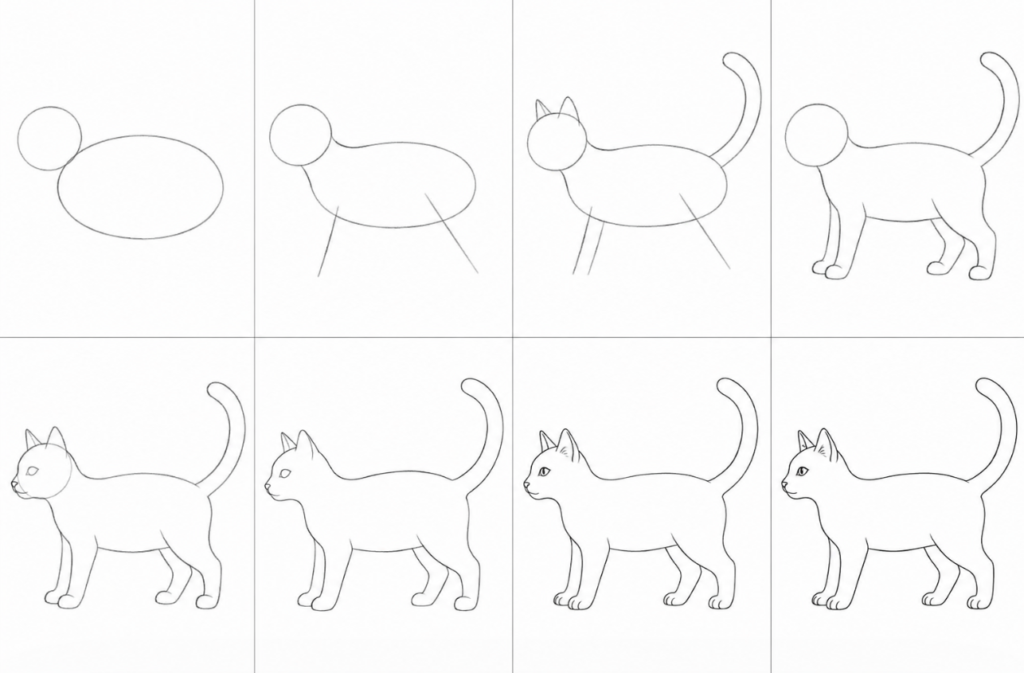 How To Draw a Realistic Cat Full Body