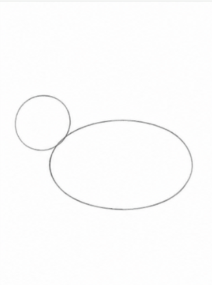 Step 1: Basic Body and Head Shapes
