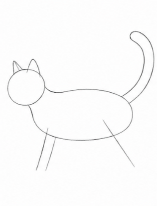 Step 3: Adding Ears and Tail